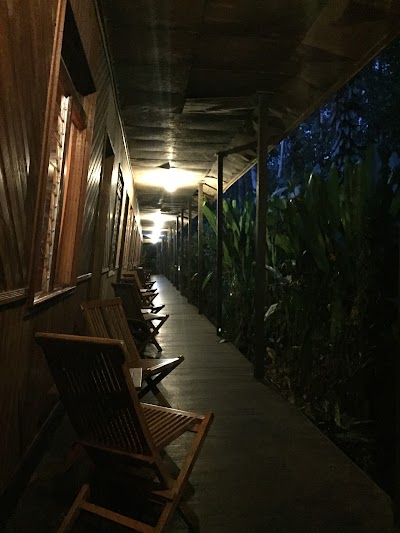 Photos of Rimba Orangutan Eco Lodge