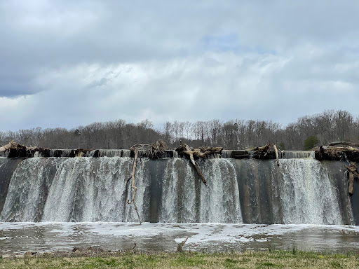 Accotink Dam