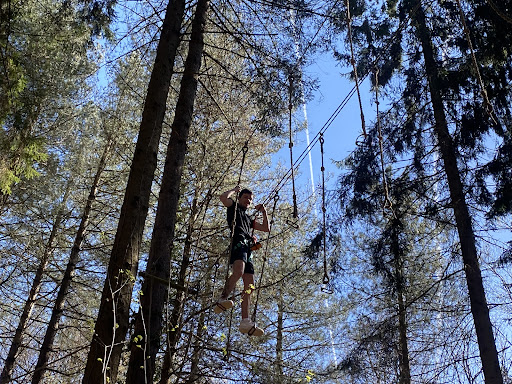 Photo de Le Val des Cimes Parc Aventure