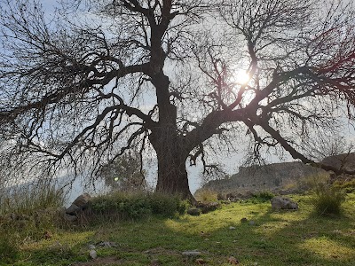 Becin Castle