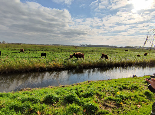 't Singeltje Trouw & Rouw & Workshop bloemist