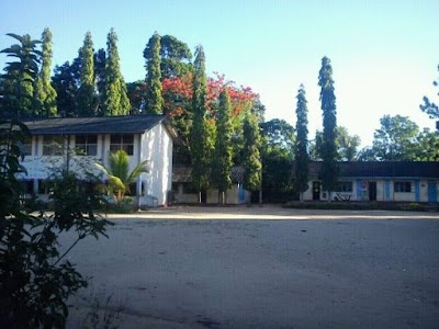 school