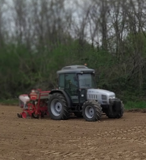 Azienda Agricola Florovivaistica Corbella - Thumbnail