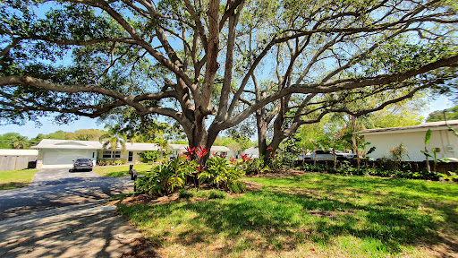 Pinellas County REALTOR Candis L Carmichael, P.A. - Thumbnail