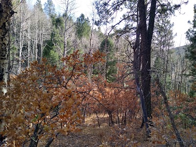 Aspen Basin Campground