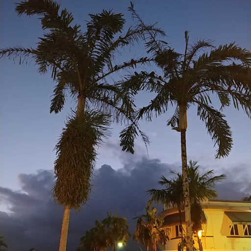 Innisfail RSL Club - Thumbnail