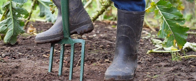 THE NEW LEAF GARDENER - Maidstone