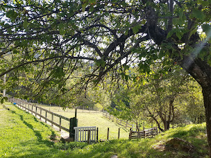 Photo n°4 de Domaine Les Blacouas à La Roque-Esclapon (Camp d'été)