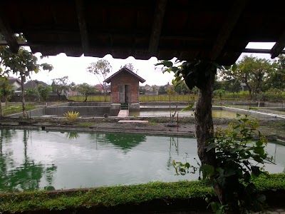 Photos of Kolame Mas Fery