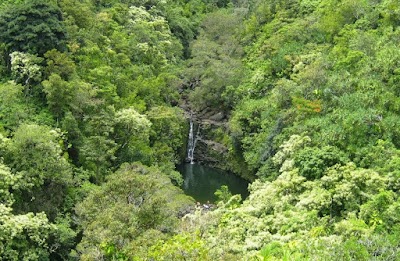 Garden of Eden Arboretum