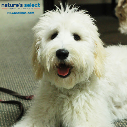Nature's Select of the Carolinas - Buypetfood.com - Thumbnail