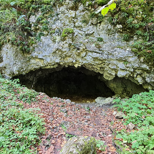 Glastal - Thumbnail