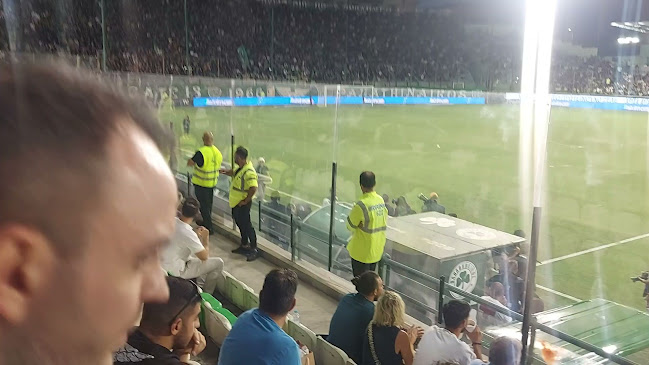 Γήπεδο Παναθηναϊκού "Απόστολος Νικολαΐδης" Ανοιχτές ώρες