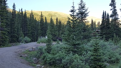 Photos of Guanella Pass Campground