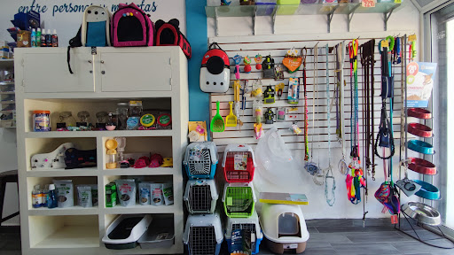 Veterinaria Gucci Kan