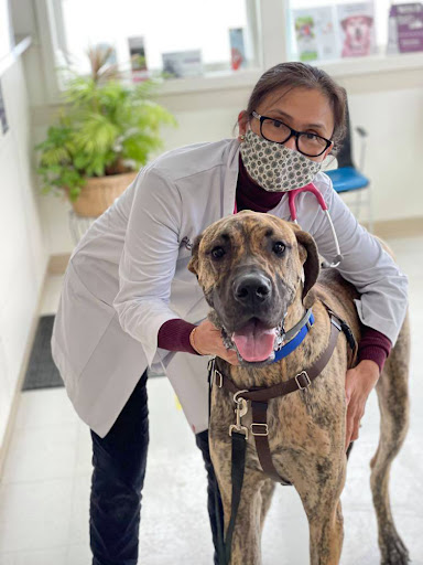 Dansville Animal Hospital Gallery - United States