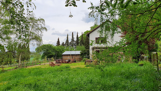 Bed and Breakfast Philosophenweg Philosophenweg 39, 32429 Minden