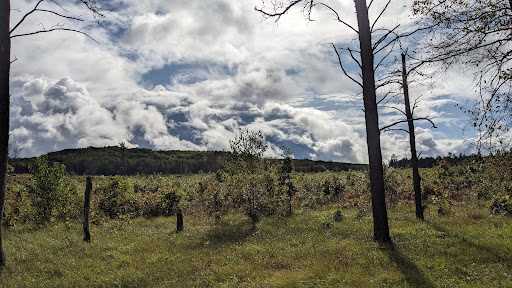 McKinley Trail Camp for the Shore to Shore Horseback and Hiking Trail - Thumbnail