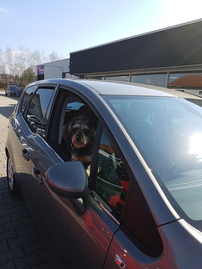 Photos of Sollfrank Automobile GmbH