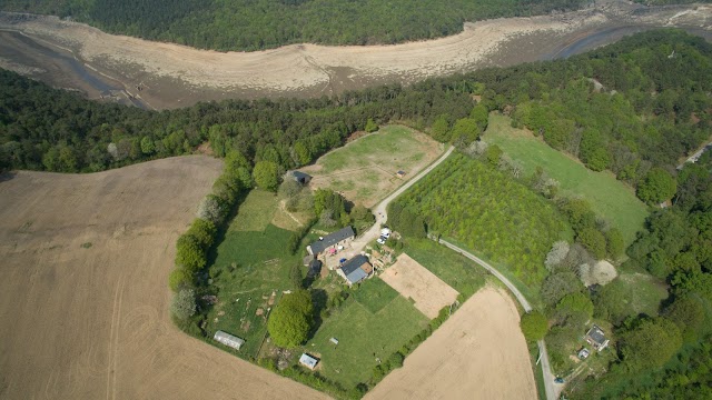 L'Âne Brasseur