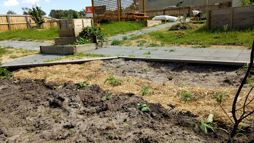 Margate Community Gardens - Thumbnail