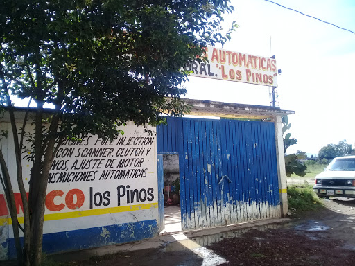 Taller Los Pinos - Thumbnail