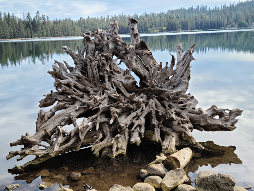 Sterling Lake Campground - Thumbnail