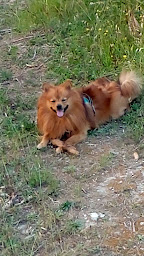 Photo n°19 de Les Délices de Marius à Saint-Jean-Cap-Ferrat (Boulangerie)