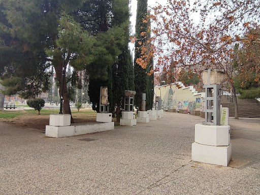Mayor de San José