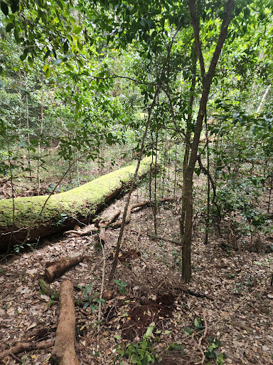 Iluka Nature Reserve - Thumbnail