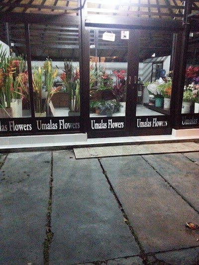Photos of Umalas Flowers Shop