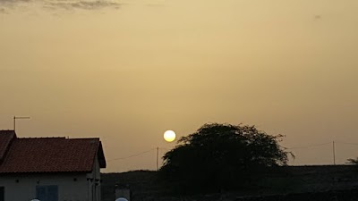 Photos of Hotel P&ocirc;r de Sol