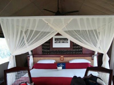Photos of Selinda Camp