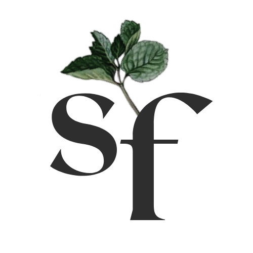 Served first - Visual