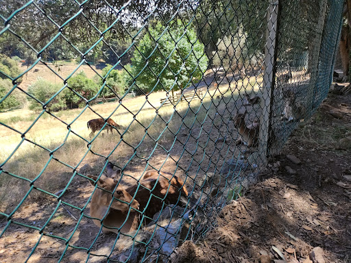 Park (kids playground, animals, garden) - Thumbnail