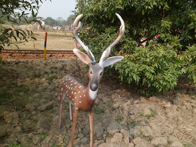 Photos of অনন্যা পার্ক