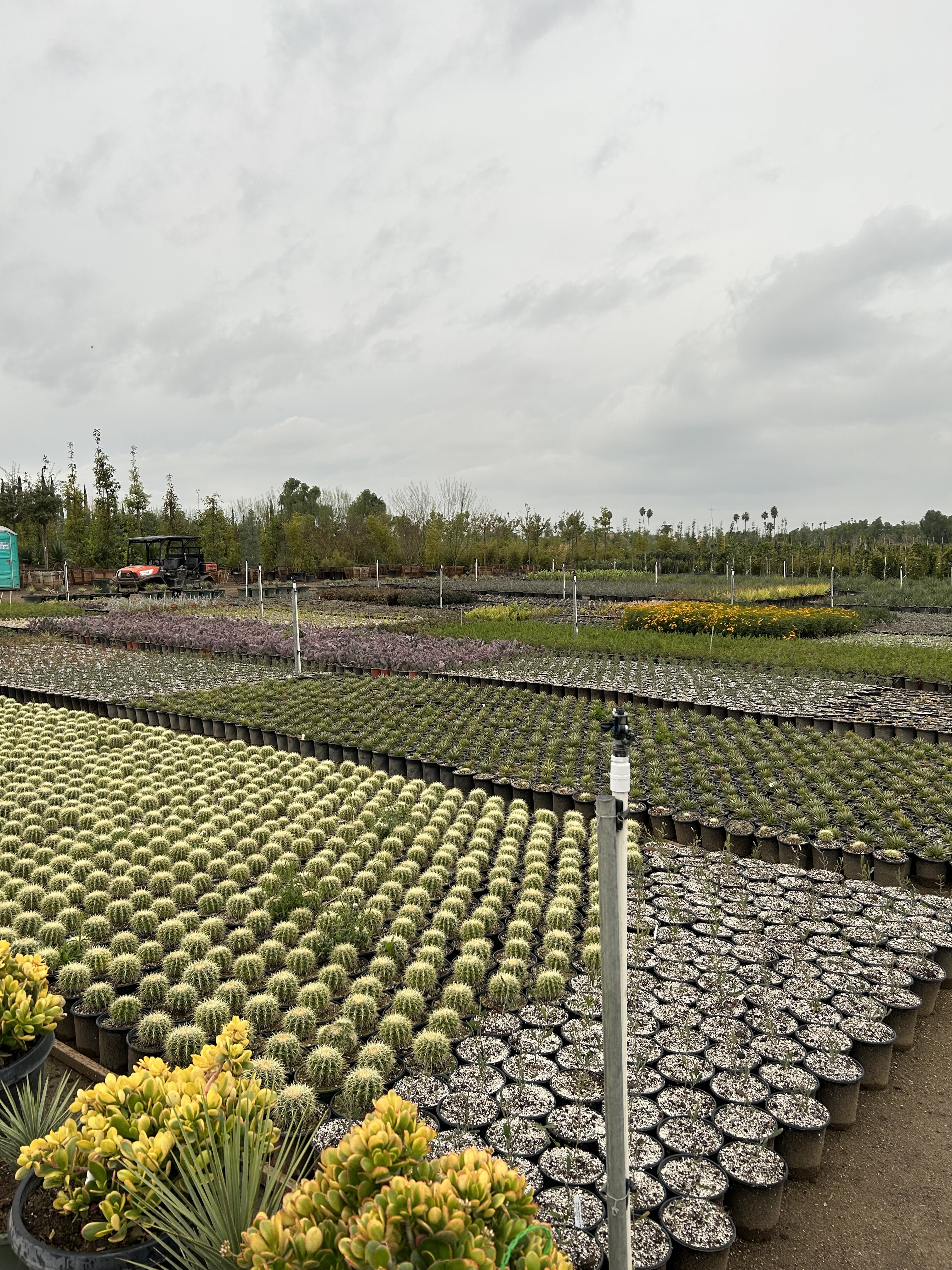 Paradise Garden Center