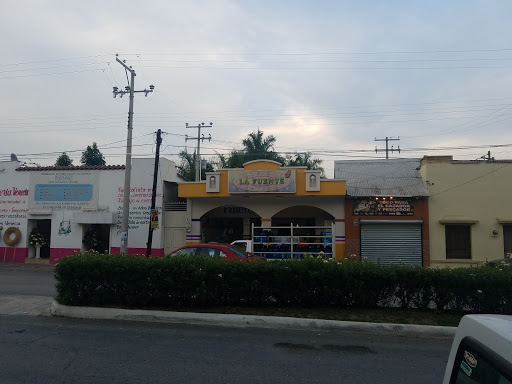 Paleteria la Fuente Logo