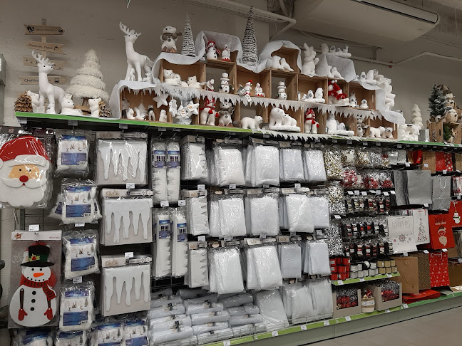 9 Bd Louis Barthou, 54500 Vandœuvre-lès-Nancy