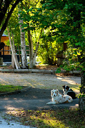 Photo n°17 de Camping Yelloh Village Le Village Western à Hourtin (Agence de location de maisons de vacances)