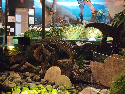 Naranjo Museum-Natural History - Thumbnail