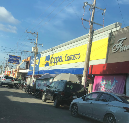 COPPEL CARRASCO - Visual