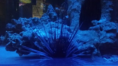 Photos of UAB Olympic Casino Group Baltija