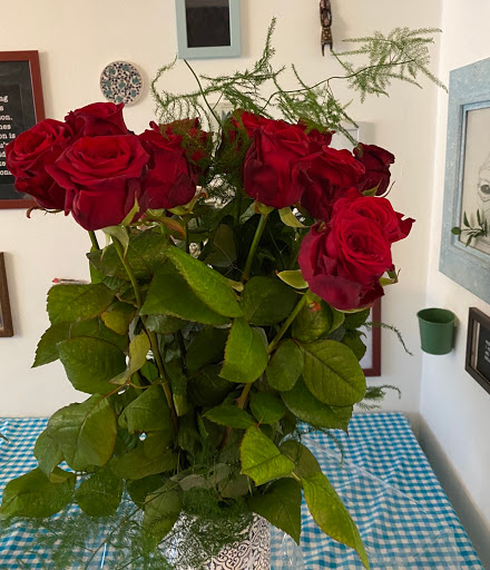 Amersflora - Visual