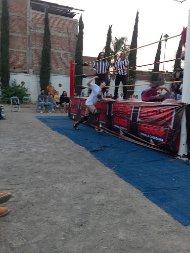 Arena Tonalá (ACTO)