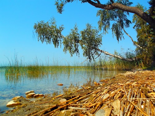 Lake Rychy