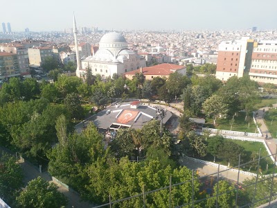 park