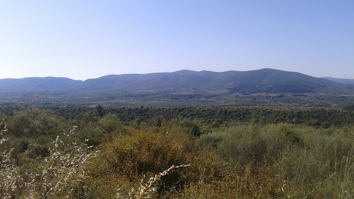 Cobrana - Visual