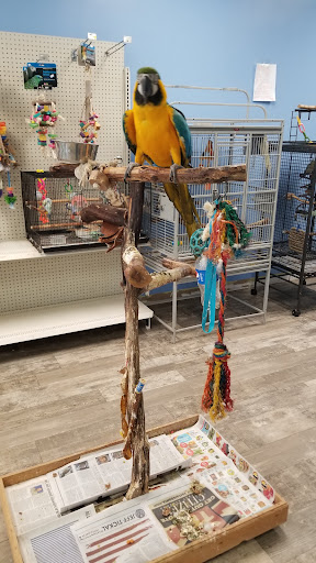 Animal Cove Pets & Pet Grooming Gallery - United States