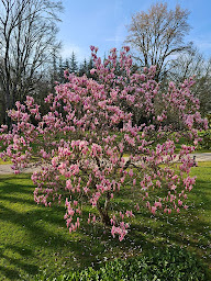 Photo n°30 de Domaine de la Gauderie Notre-dame-de-Sanilhac à Sanilhac (Institut de spa et bien-être)